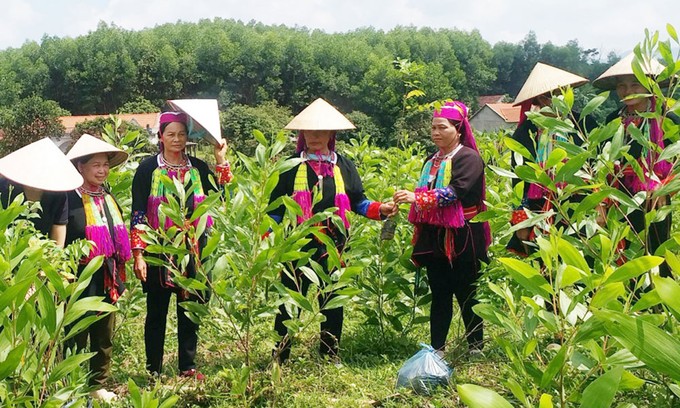 關注發展山區和少數民族地區
